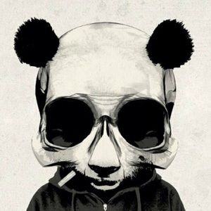 Meet your Posher, Brannon